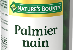 Palmier Nain